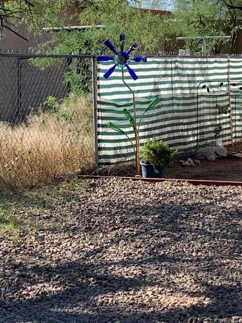 24FA040B-0AAD-4D7E-BF47-49712B0CF838