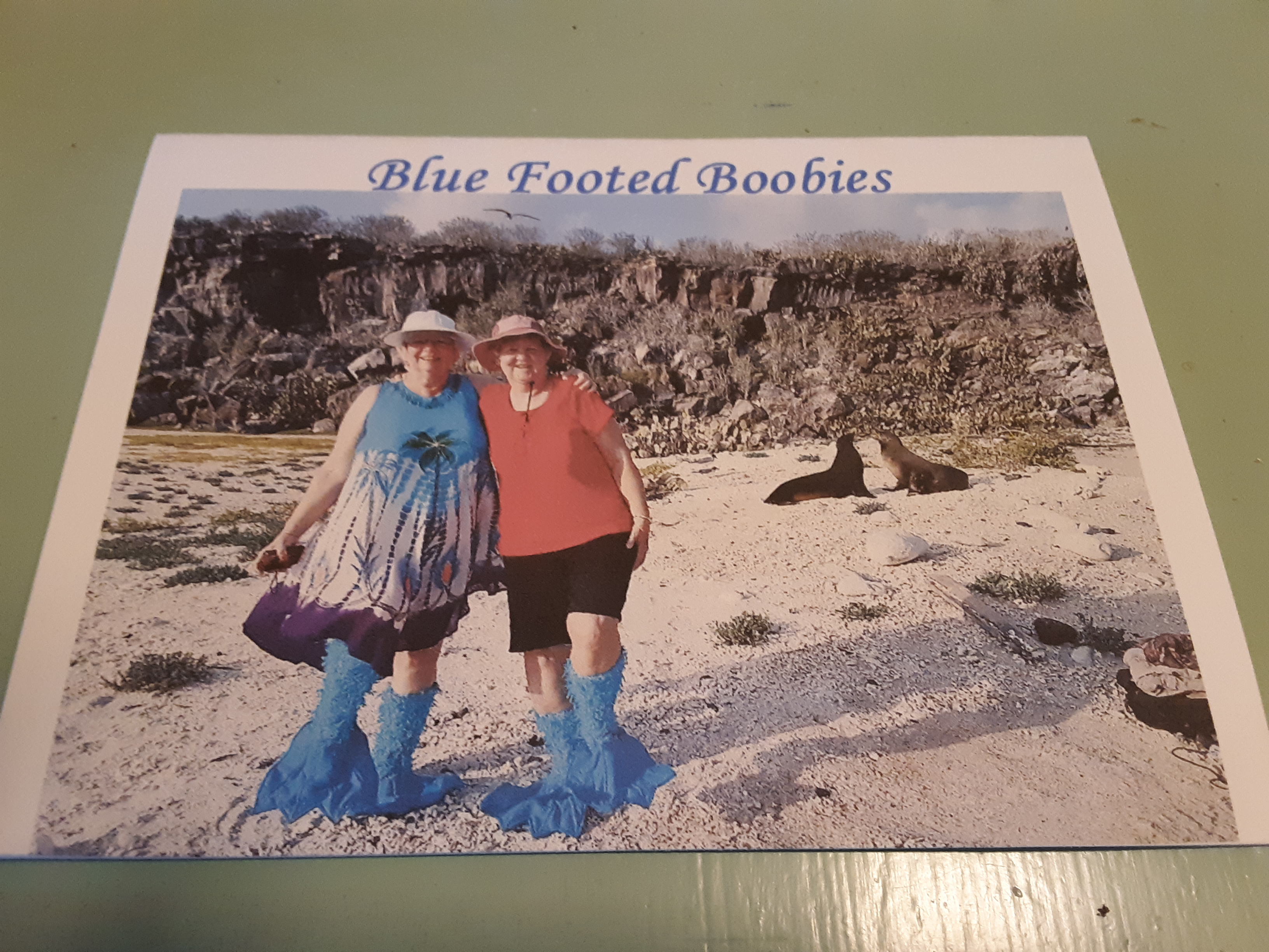 D450276D-D4F9-40DD-901A-87643A478211